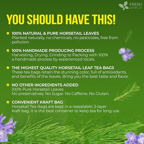 Image of FreshDrinkUS, Premium 15 Horsetail Leaf Tea Bags, 100% Natural & Pure from Horsetail Loose Leaves Herbal Tea. Made with Natural Material Tea Bags. No Sugar, No Caffeine, No Gluten, Vegan.