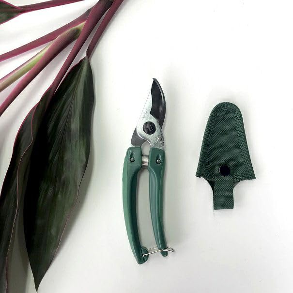 Forbici Da Giardinaggio Classiche Ars Corporation GC-130, Nuove