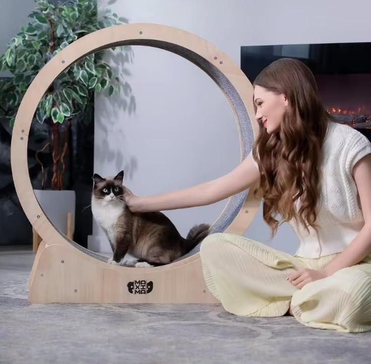 Cat Wheel, Modern Design, Wood and Sisal Scratching Pad