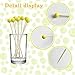 200Pcs Tennis Cocktail Picks,4.7 inch Tennis Decorative Sports Ball End Cocktail Skewers Fruit Toothpicks Wooden Decorative Cocktail Picks for Appertizes Fruit Food Tennis Theme Sport Party favors