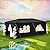 Black Party Tent 10x20 Outdoor Canopy Tent with 6 Removable Sidewalls Heavy Duty Wedding Events Tents for Parties Waterproof Patio Gazebo Shelter for Birthday Graduation Backyard