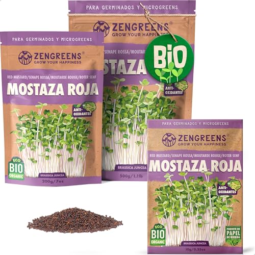 ZenGreens® - Semillas de mostaza roja ecológico - Elija entre 10g, 200g y 500g - brotes de mostaza roja - germinación de más del 97% - Microgreens
