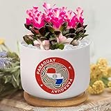 Yelolyio Macetas personalizadas de cerámica con mapa de la bandera de Paraguay, maceta pequeña de cerámica para suculentas de Paraguay para plantas de interior