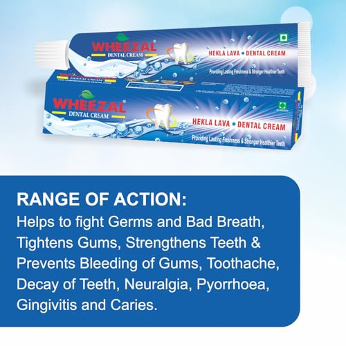 Image of WHEEZAL Hekla Lava Dental Cream (Tooth Paste) (100g) (PACK OF 3), Freshening