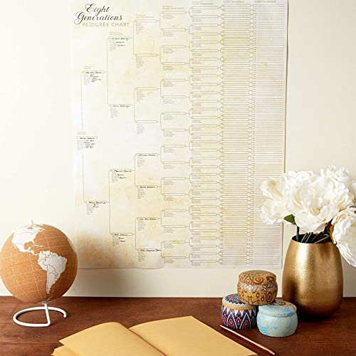 Okuna Outpost CHGYI 15 Pack Family Tree Charts To Fill In - Blank 8 Generation Genealogy Poster thumb #2
