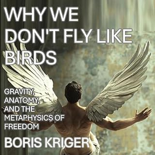 Why We Don't Fly Like Birds cover art