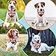 Hundegeburtstags-Bandana, Kariertes bedrucktes Geburtstagskind-Bandana, waschbar, Haustiere, Geburtstagsparty-Zubehör, Baumwolle, dreieckig, Hundeschal für kleine, mittelgroße Hunde und Katzen (rot)