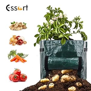 Essort Pflanzen Tasche,Kartoffel Pflanztasche mit Fenster/Klettverschluss/Tragegriffen,Wiederverwendbar Gemüse Wachstumstasche