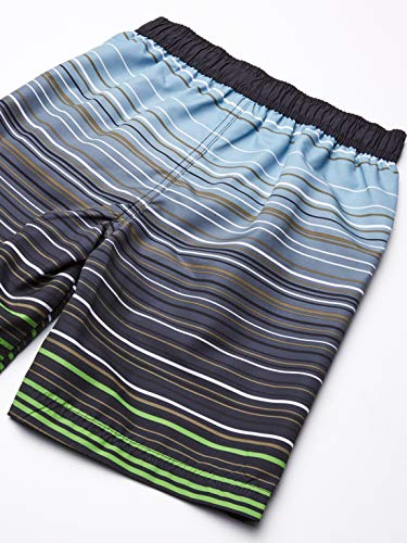 Big Chill Boys' Printed Swim Trunks2
