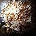 SEA MOSS 100% NATURAL (WILD) DR SEBI IRISH MOSS