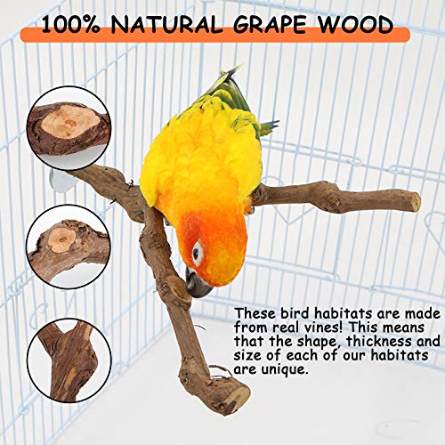 phepetroll Wood Bird Stand Perch, Natural Wild Grape Stick Bird Stand Pole, Grinding Paw Climbing Standing Accessories Bird Branch Perch for Parakeets, Budgies, Lovebirds, Finches (Bifurcation)