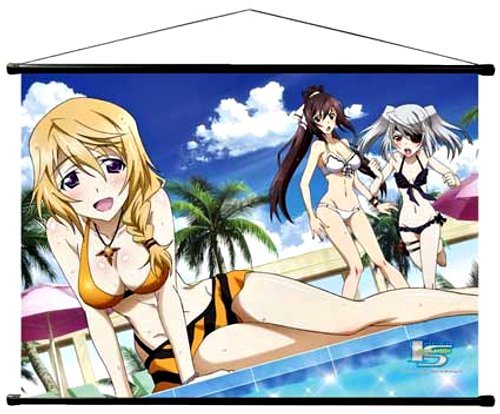 Amazon.co.jp: IS[インフィニット・ストラトス] B2タペストリーVer.2