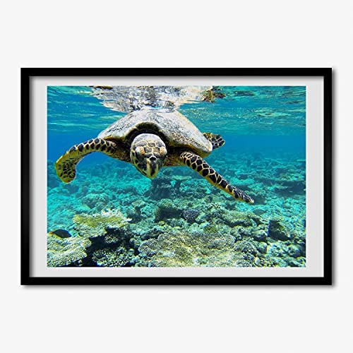 Cadre photo tortue de mer 70x50 cm en bois MDF Tulup pour affiche et tableau moderne