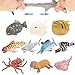 Animal marino, 10 paquetes de juguetes de goma de baño, Se puede cambiar el color de algunos tipos, fiesta de las figuras del mundo zoológico de juguete de baño flotante y blando, baño con tiburón