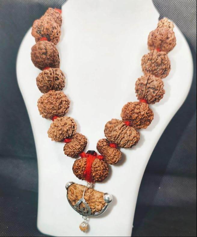 Astro Cart Sarva Siddha Mala Nepal 1 To 14 Mukhi Rudraksha Mala एक से चौदह मुखी रुद्राक्ष माला Ek Se Chaudah Mukhi Rudraksha Ki Malaa With Guari Shankar & Ganesh Rudraksh Nepal Beads Blessed Shiva For Dhyan 2