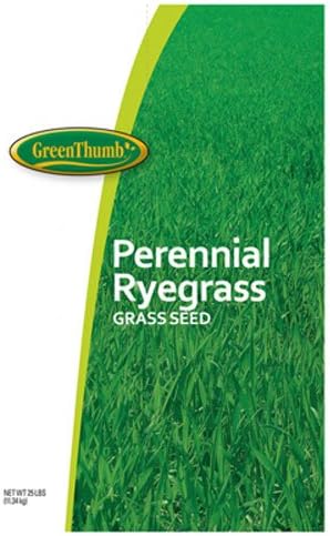 Barenbrug 700784 25 lb. Peren Ryegrass Seed