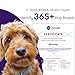 ORIVET GenoPet Plus Dog DNA Test Kit | Professional Breed Identification & Genetic Health Screening | Comprehensive Canine DNA Analysis with Personalized Life Plan