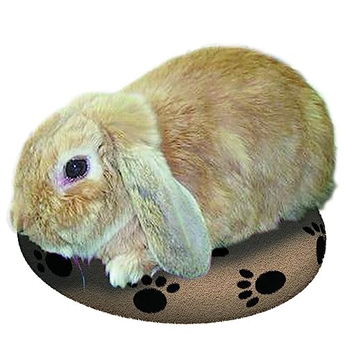 SnuggleSafe Hund Wärmeplatte mit Fleecebezug, kabellos (farblich sortiert), aus Polyethylen