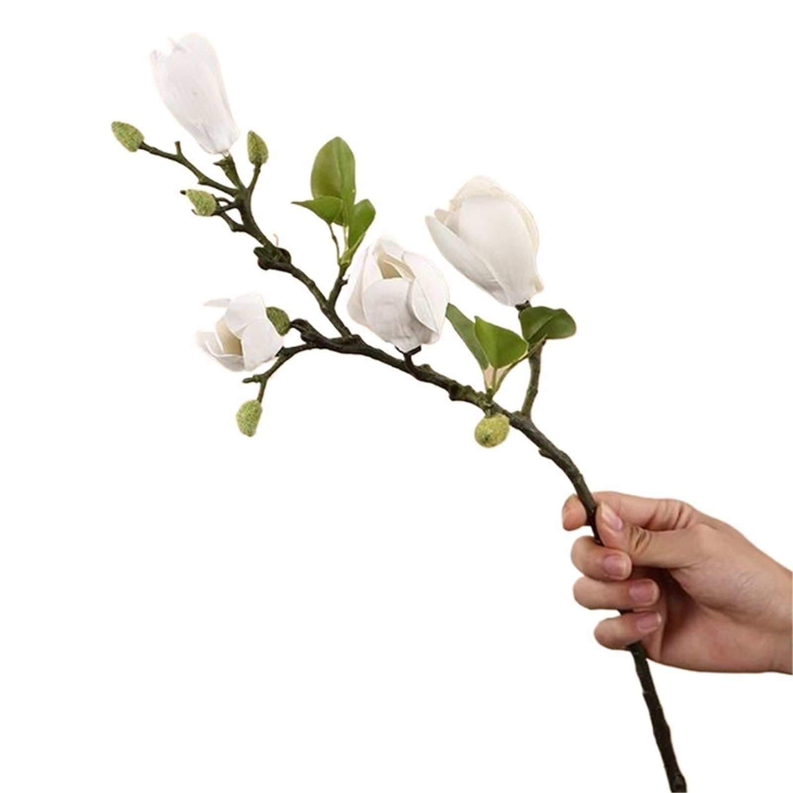 LXLAEOANG Artificial Flower Branches 5 Pcs Single Branch Artificial Silk Magnolia Flowers For Home Vase(Color3)