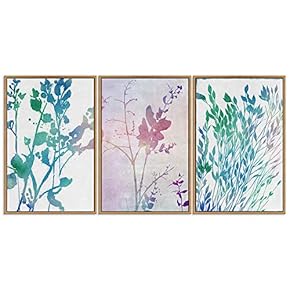 SIGNWIN 3 Piece Framed Canvas Wall Art Colorful...