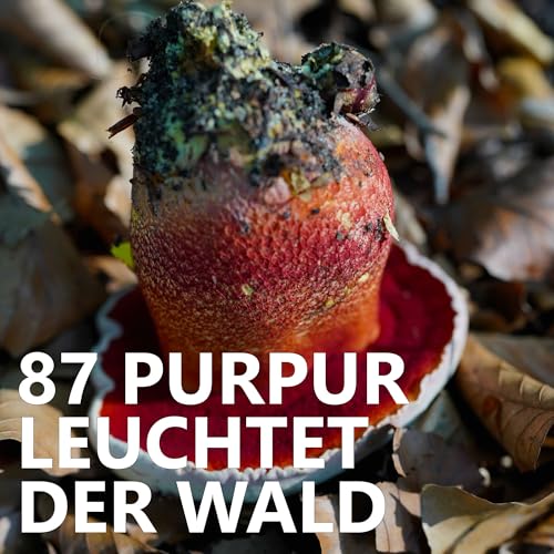 #87 Purpur leuchtet der Wald cover art