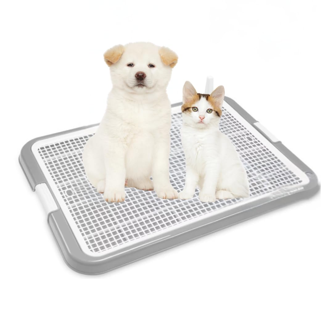 Toilette per Cani e Gatti con Griglia Antiscivolo 64x48cm – Vaschetta Igienica per Addestramento Cuccioli, Facile da Pulire, Base Antifuga, Ideale per Casa e Balcone