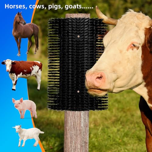 Brosse à gratter pour cheval au pré : le bien-être au quotidien