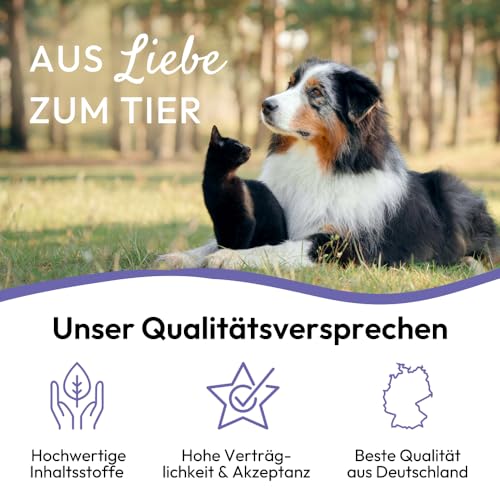 PHA Antistress Tropfen, Natürliches Beruhigungsmittel für Hunde & Katzen, für Silvester, Autofahrten, Tierarzt & Alleinsein, zur Beruhigung, Entspannungs- & Anti-Stress-Mittel für Hunde & Katzen