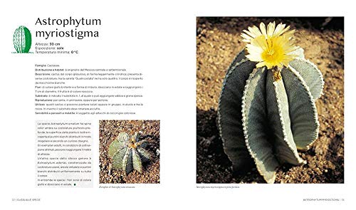 Il Grande Libro Dei Cactus E Delle Piante Grasse - 7