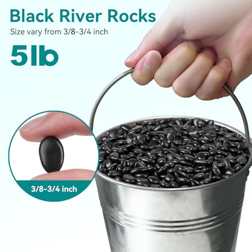Image of 5 lbs Black Pebbles for Indoor Plants, 3 /8 inch Small Rocks for Plants Indoor, Succulent, Bamboo, Vase, Decorative Black River Rocks Pea Gravel, Highly Polished