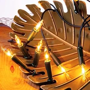 Hellum Lichterkette innen, Weihnachtslichter, 20 warme, helle Lampen, beleuchtete Länge 2,85m, Kabelfarbe grün, 832013