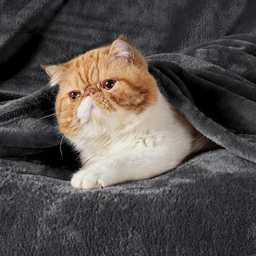 Image of Bedsure GentleSoft Fleece Bed Blankets Full Size Charcoal - Soft Lightweight Plush Fuzzy Cozy Luxury Blanket Microfiber, 84x90 inches