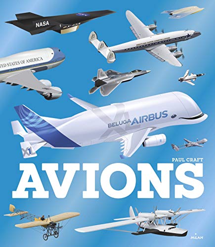 Télécharger Avions Livre eBook France
