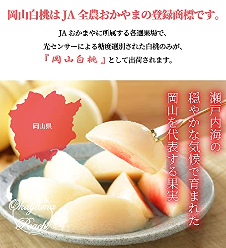 Amazon.co.jp: 桃 岡山白桃 ロイヤル 8～16玉 約4.0kg 岡山県産 JA