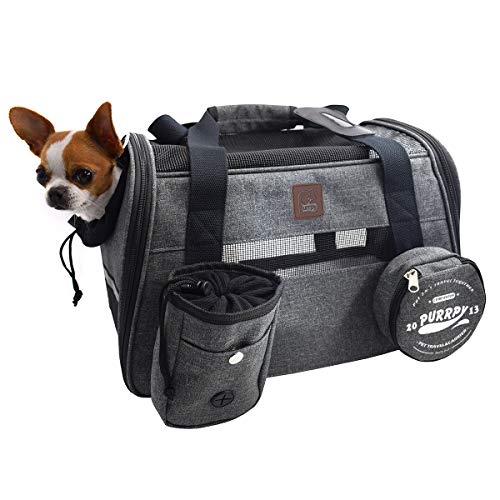 dog purse 15 lbs