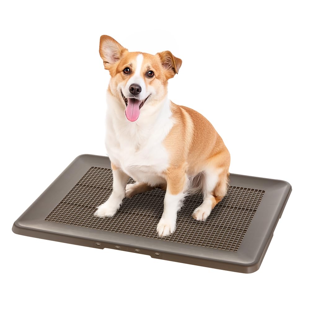 新品　4個セット　Richell 超薄型犬用トイレ レギュラーサイズ Amazon | リッチェル(Richell) お掃除簡単フラットトレー ワイド