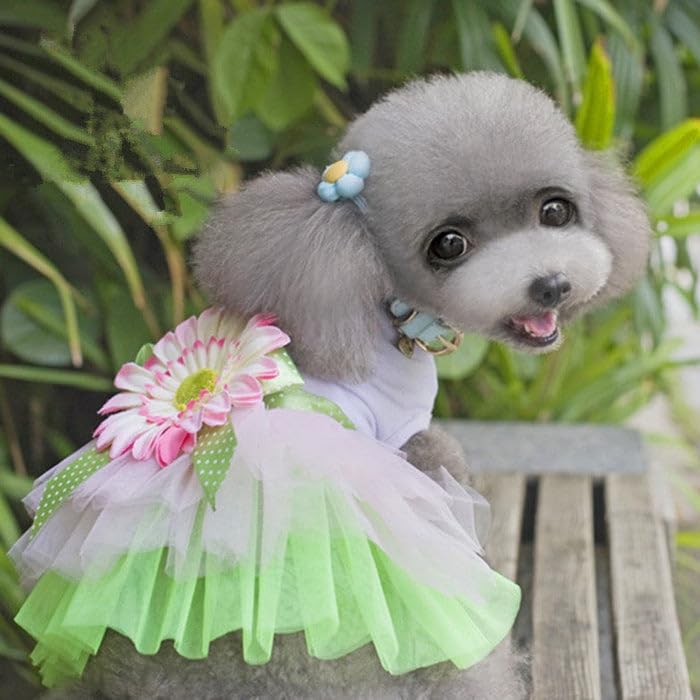 CLAWS N PAWS Dog Clothes| Flower Summer Frock Dress | Sizes and Colours Available| CLAWS N PAWS (B0D5BJTJ48) Amazon Price History, Amazon Price Tracker