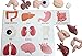 Montessori Human Organ Match - Miniature Body Parts with Cards to Match - Early Childhood Biology Learning Toy