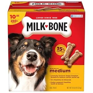 Milk-Bone Original Dog Treats Biscuits for Medium Dogs, 10 Pound