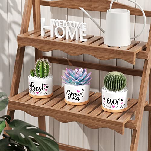 Christmas-Grandma-Gifts-Best-Gifts-for-Grandma-from-Grandchildren-Granddaughter-Best-Grandma-Ever-Succulent-Pots-for-Plants-Indoor-Ceramic-Planter-Gift-Boxed-Cute-Grandma-Birthday-Thanksgiving-Gifts