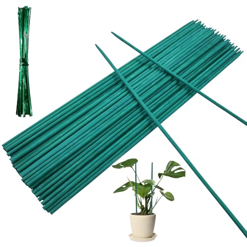 50PCS Plant Support Sticks with 50PCS Twist Ties 30cm Garden Bamboo Stakes for Flowers Floral Plant(30cm)