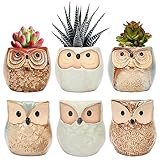 Succulent Planter Pots Owl Ceramic - Small Planter Pots with Drain Hole & Bamboo Saucers Small Cactus Flower Plant Bonsai Container Gift for Office Coworkers Friends Home Decoration Pack of 6