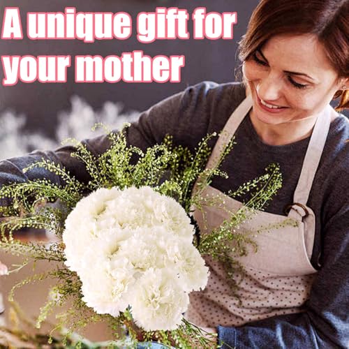 Fleurs artificielles oeillets pour remplacer les bouquets flétris - 6