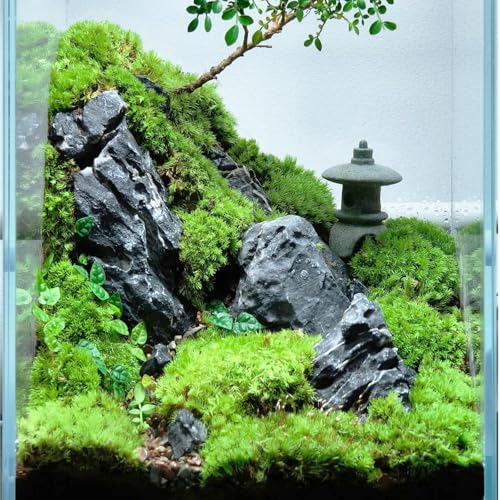 Image of Natural Rocks Seiryu Stone 1-2.5 Inches Decorative Stones for Fairy Gardens,Miniature Landscaping,Bonsai,DIY Crafts, Aquariums & Reptile Terrariums-1lb