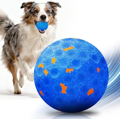 Interactive Dog Toys — shown in a real home setting for scale