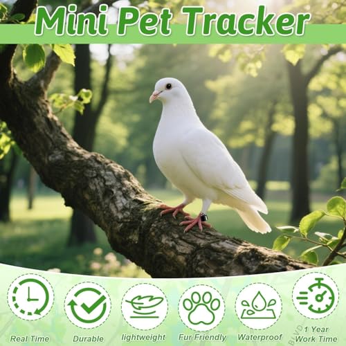 Yizemay pet