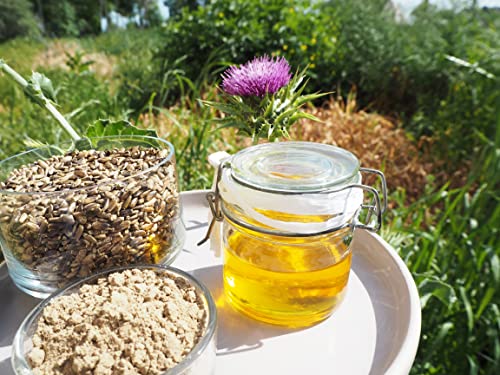 Mariendistel samen ganz, Mariendistelsamen ganz, Reif und dunkelbraun, Silybum marianum 1kg