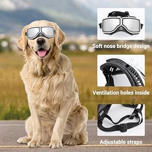 Dog-Goggles-Large-Breed-Large-Dog-Sunglasses-Eye-Protection-for-Dogs-Windproof-Goggles-for-Medium-Large-Dog-Riding-Biking-Driving - Cucciolini Doodles   Dog-Goggles-Large-Breed-Large-Dog-Sunglasses-Eye-Protection-for-Dogs-Windproof-Goggles-for-Medium-Large-Dog-Riding-Biking-Driving