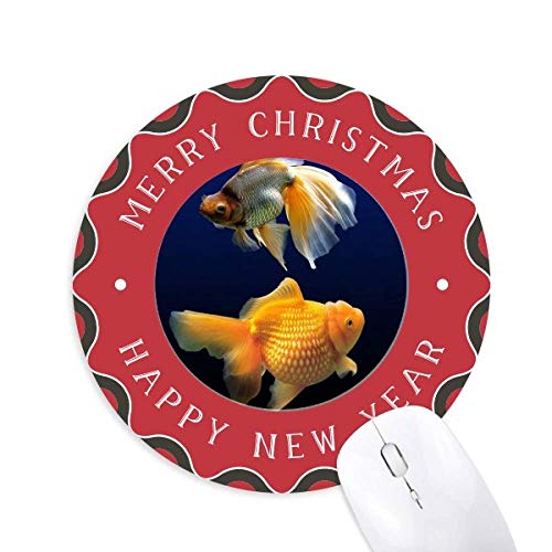 Cm̉Ȋw͎R̎ʐ^ ~`S̃NX}X}EXpbh