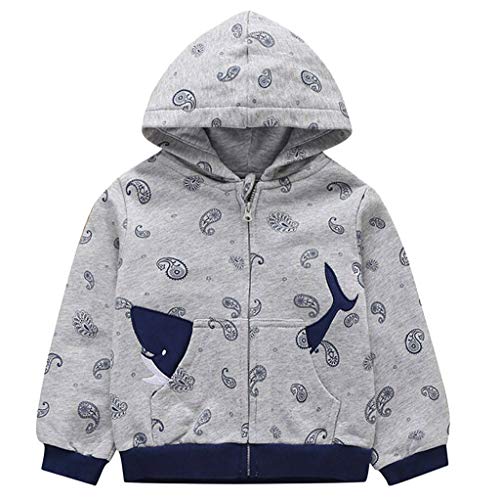 Cartoon Car Infant Toddler Boy Zip Front Fleece Hoody Sweatshirt Windproof Coat Outwear Jacket (6-9 Months, Gray)